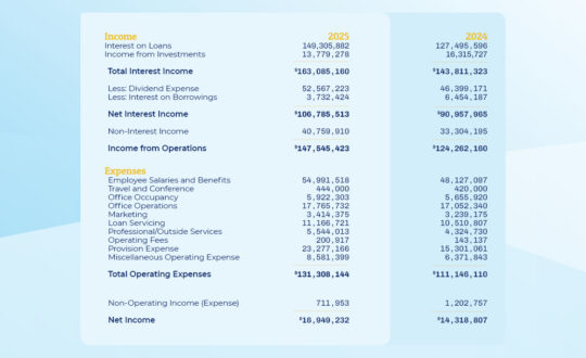 2025 Income Statement