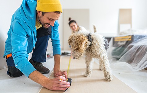 Couple working on home improvements with dog