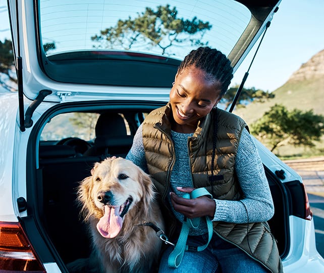 You can refinance your automobile for cash